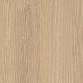 Акация Лорка